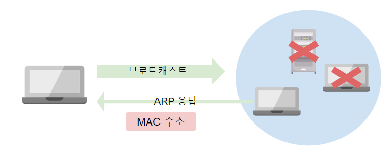 arp